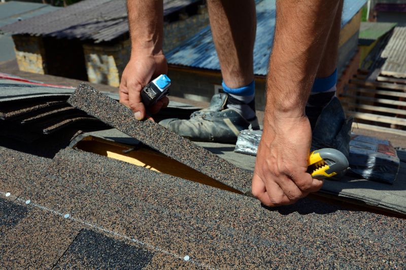 Shingle Repair Expertise